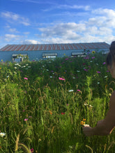 Load image into Gallery viewer, Wondrous Wildflower